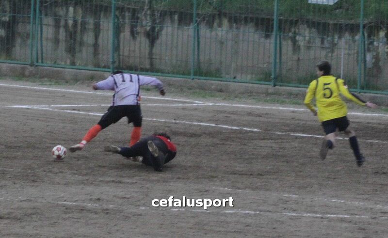 120310 stefanese 251y_tn.jpg
